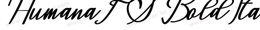 HumanaFS BoldItalic字体转换